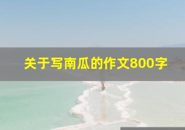 关于写南瓜的作文800字