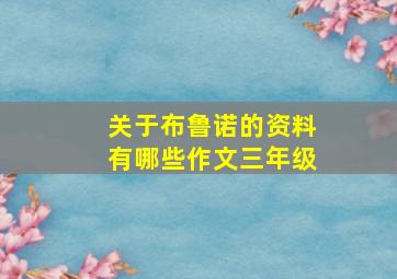 关于布鲁诺的资料有哪些作文三年级