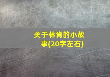 关于林肯的小故事(20字左右)