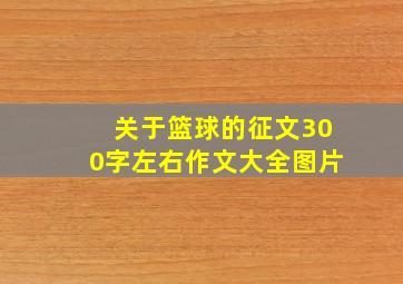 关于篮球的征文300字左右作文大全图片