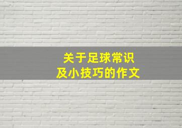 关于足球常识及小技巧的作文