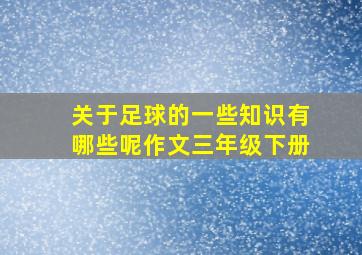 关于足球的一些知识有哪些呢作文三年级下册