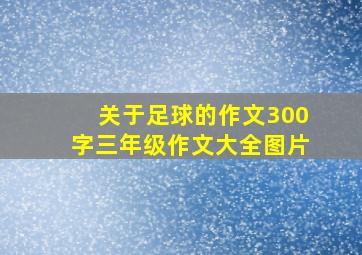 关于足球的作文300字三年级作文大全图片