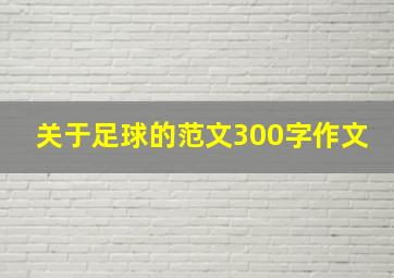 关于足球的范文300字作文