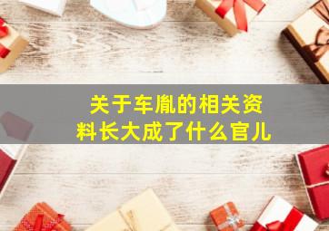 关于车胤的相关资料长大成了什么官儿