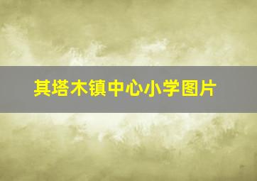 其塔木镇中心小学图片