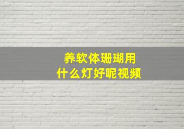 养软体珊瑚用什么灯好呢视频