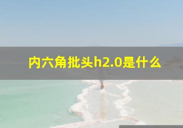 内六角批头h2.0是什么