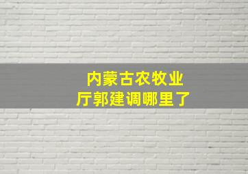 内蒙古农牧业厅郭建调哪里了