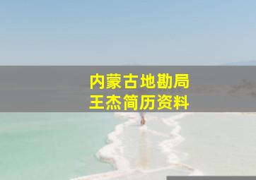 内蒙古地勘局王杰简历资料