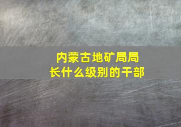 内蒙古地矿局局长什么级别的干部