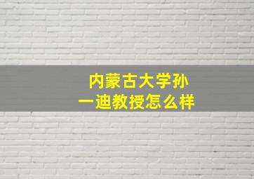 内蒙古大学孙一迪教授怎么样