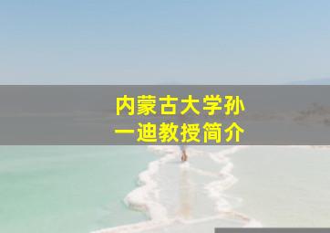 内蒙古大学孙一迪教授简介