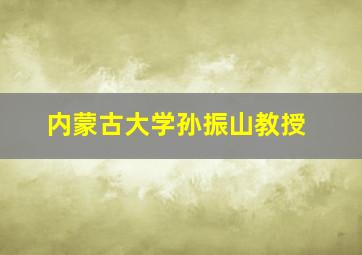 内蒙古大学孙振山教授