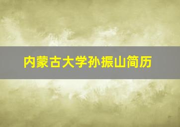 内蒙古大学孙振山简历