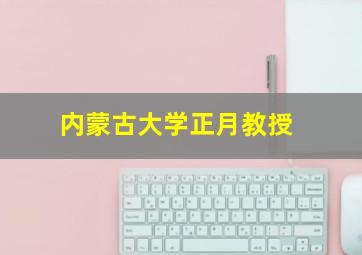 内蒙古大学正月教授