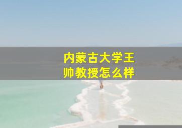 内蒙古大学王帅教授怎么样