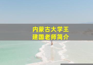 内蒙古大学王建国老师简介