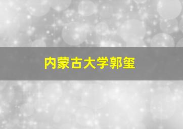 内蒙古大学郭玺