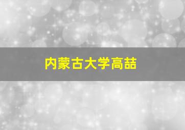 内蒙古大学高喆