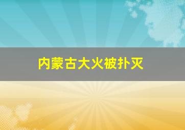 内蒙古大火被扑灭