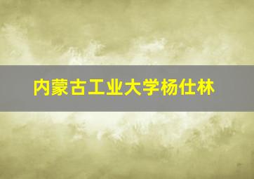 内蒙古工业大学杨仕林