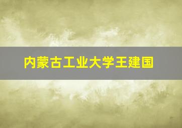 内蒙古工业大学王建国