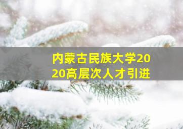 内蒙古民族大学2020高层次人才引进