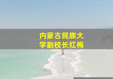 内蒙古民族大学副校长红梅