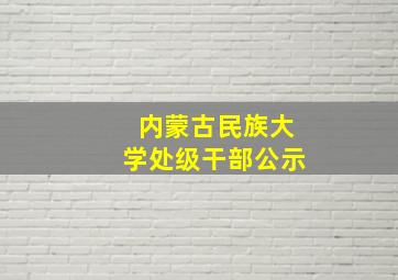 内蒙古民族大学处级干部公示