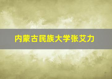 内蒙古民族大学张艾力