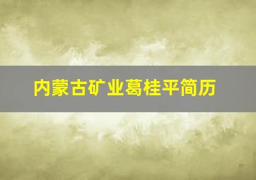 内蒙古矿业葛桂平简历