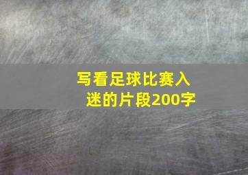 写看足球比赛入迷的片段200字