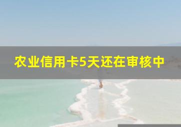 农业信用卡5天还在审核中