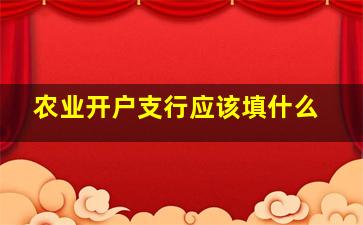 农业开户支行应该填什么