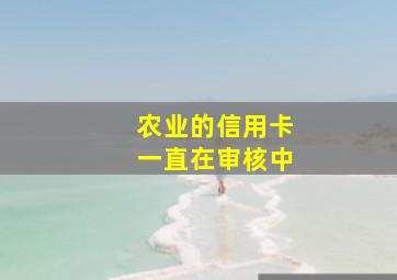 农业的信用卡一直在审核中