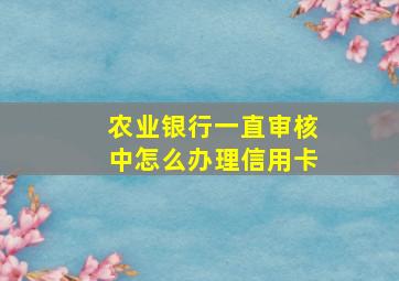 农业银行一直审核中怎么办理信用卡