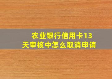 农业银行信用卡13天审核中怎么取消申请