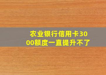 农业银行信用卡3000额度一直提升不了