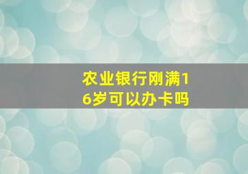 农业银行刚满16岁可以办卡吗