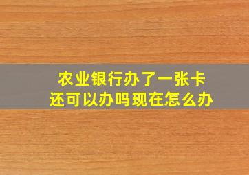 农业银行办了一张卡还可以办吗现在怎么办