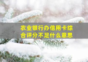 农业银行办信用卡综合评分不足什么意思