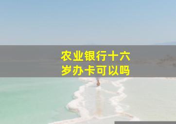 农业银行十六岁办卡可以吗