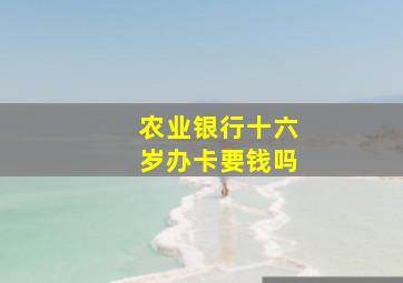 农业银行十六岁办卡要钱吗