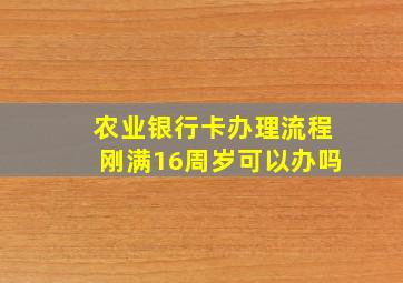 农业银行卡办理流程刚满16周岁可以办吗