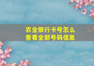 农业银行卡号怎么查看全部号码信息