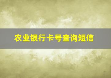 农业银行卡号查询短信