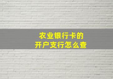 农业银行卡的开户支行怎么查