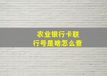 农业银行卡联行号是啥怎么查