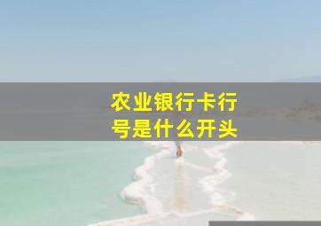 农业银行卡行号是什么开头